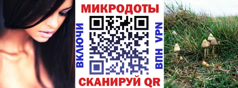 Псилоцибиновые грибы MAGIC MUSHROOMS  нарко площадка телеграм  Новодвинск  дарнет шоп 