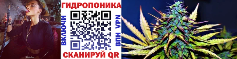 купить наркотики цена  Новодвинск  Бошки Шишки марихуана 